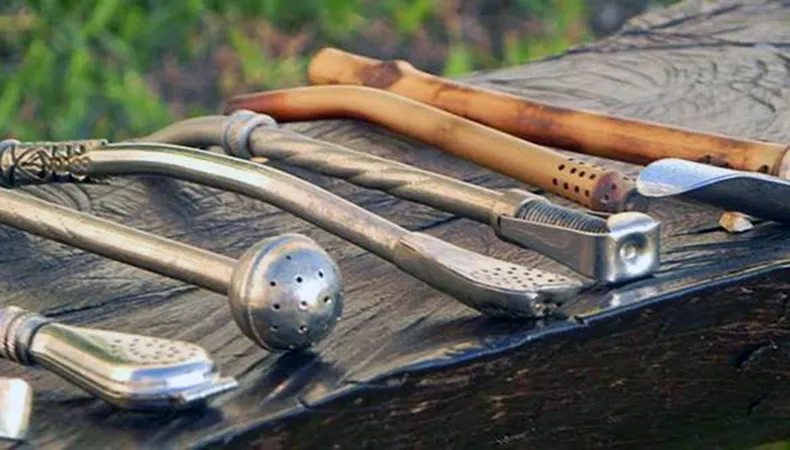 Diferentes bombillas para mate de acero, alpaca y ca&ntilde;a apoyadas sobre una superficie de madera, en un entorno natural.