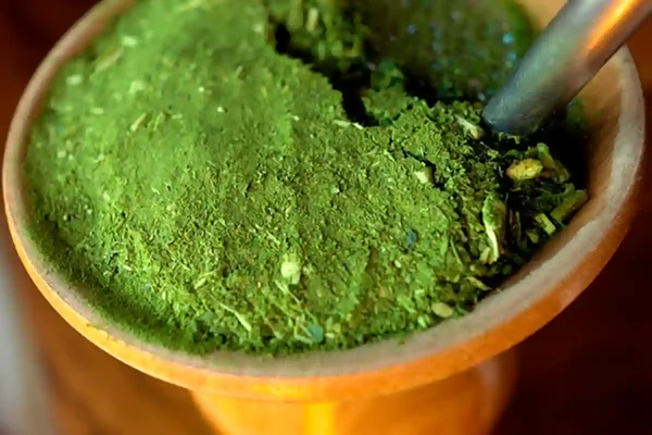 Brazilian chimarrão in a wooden cuia, showing its fine grind and vibrant green color