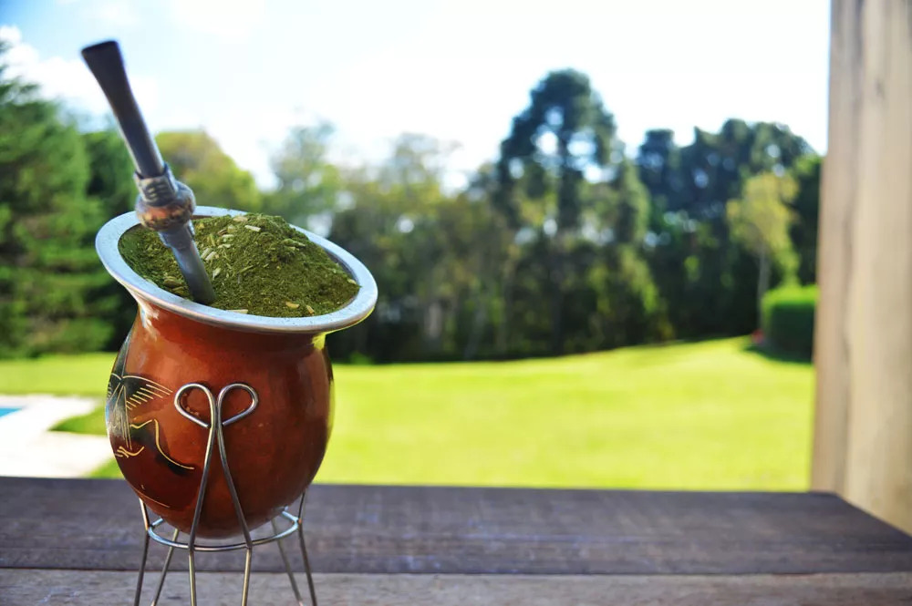 All About Yerba Mate: Argentina's National Drink, mate the